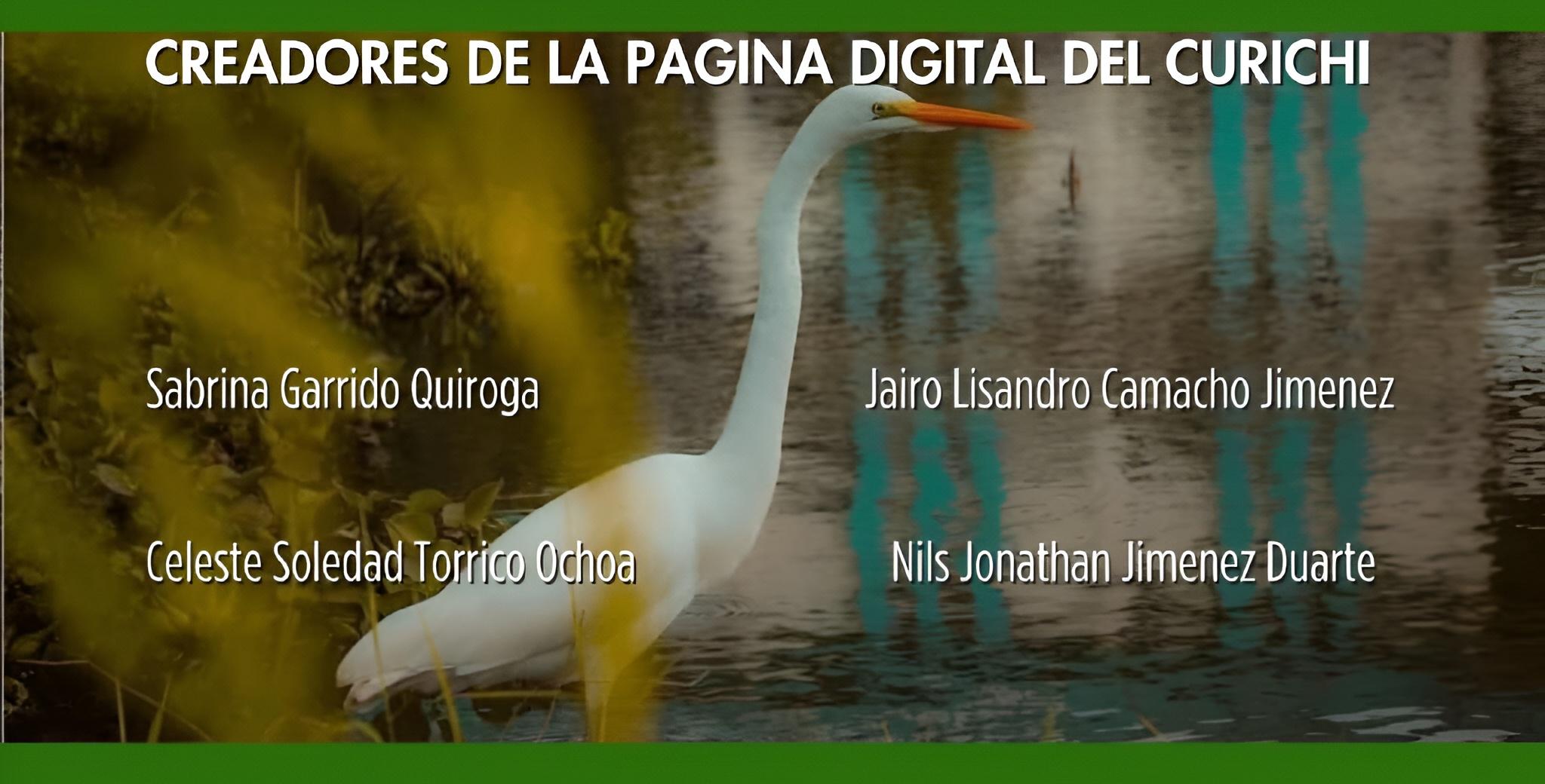 Pie de página